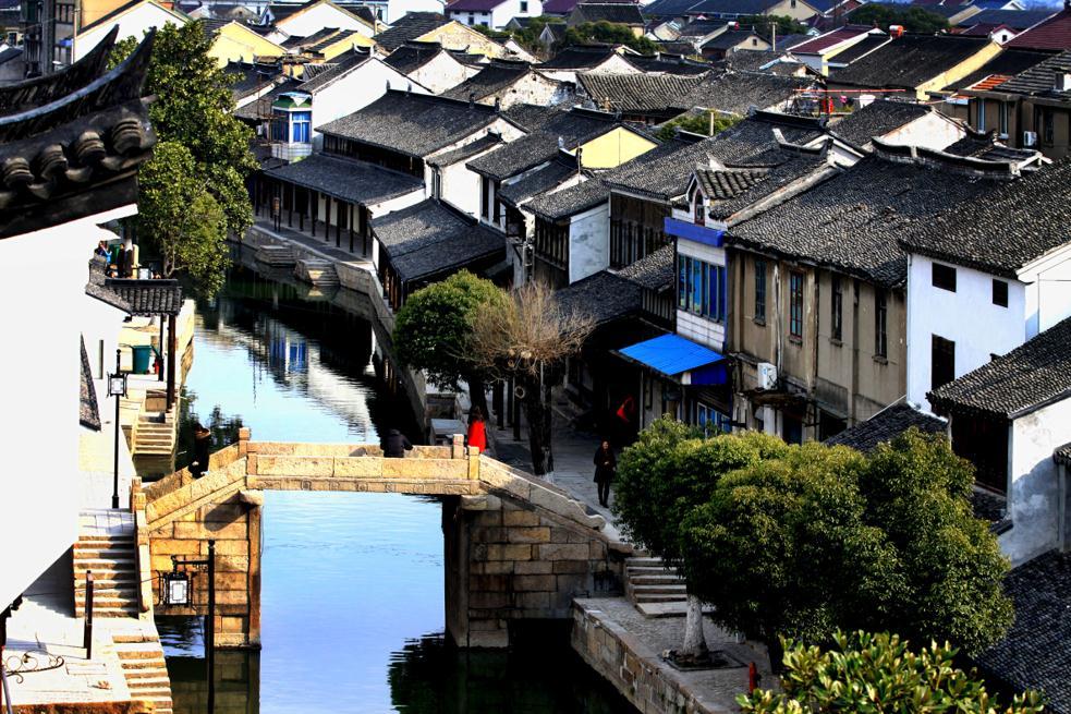 五彩鹦鹉救援