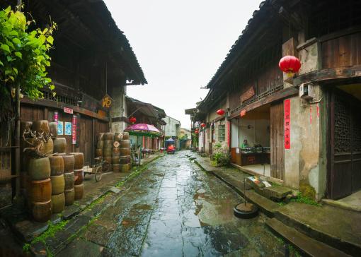 美妙森林找不同